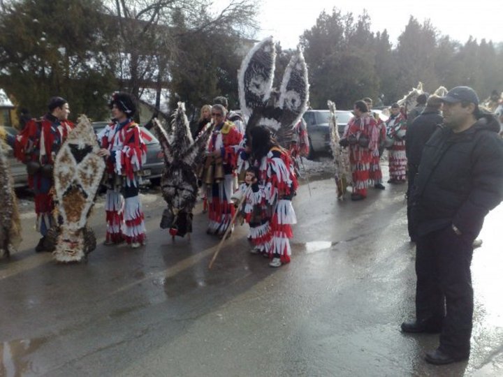 s.Giginci surva 2010