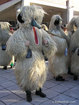 Photo of kukeri - mummers mask