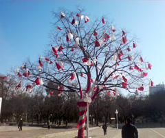 Bulgarian Martenitsa Tree in Australia and ...