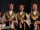 Folk dance ensemble Zdravetz - 1992